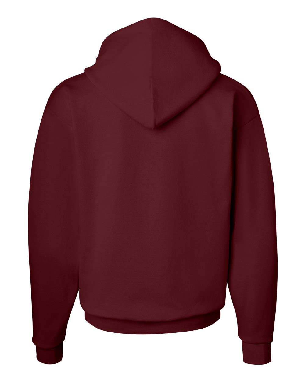 Unisex EcoSmart® Hooded Sweatshirt - P170 293