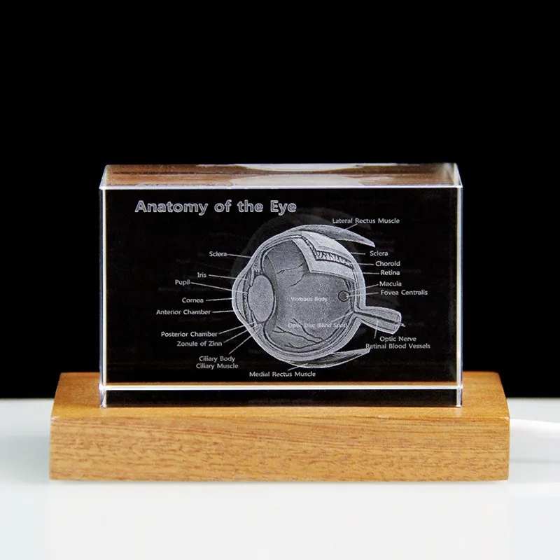 Custom 3D Crystal Photo with LED Light Base 4
