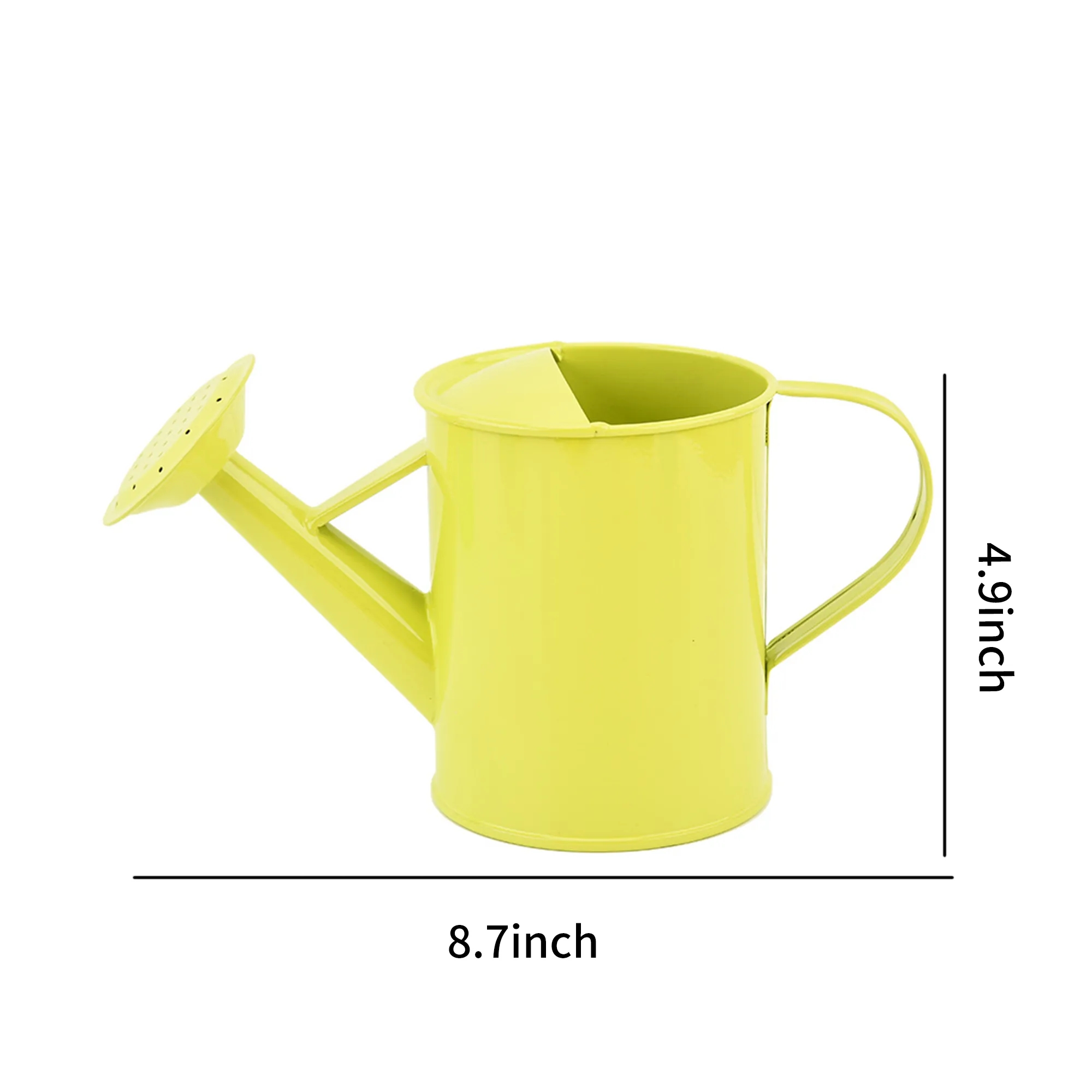 Iron Watering Can 4