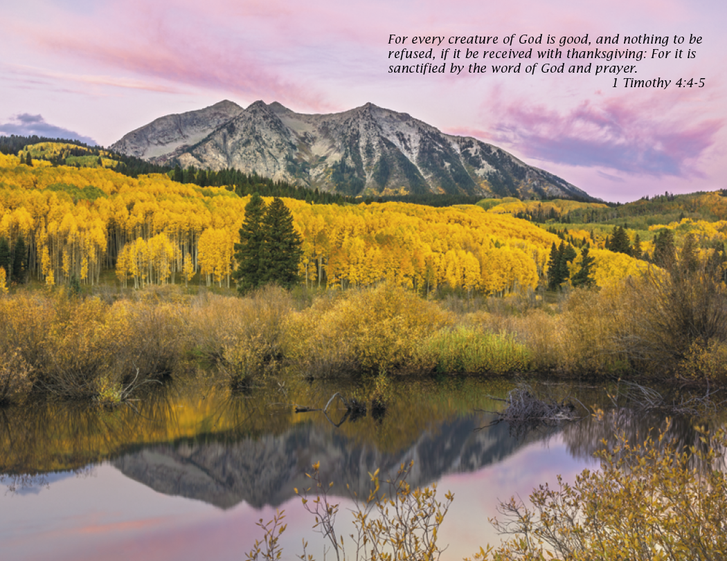 Triumph® Calendars Bible Passages Calendar 11