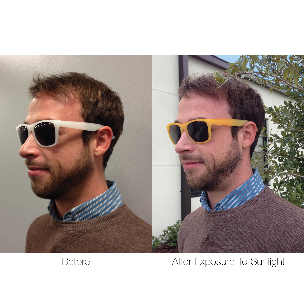 Color Changing Malibu Sunglasses 24