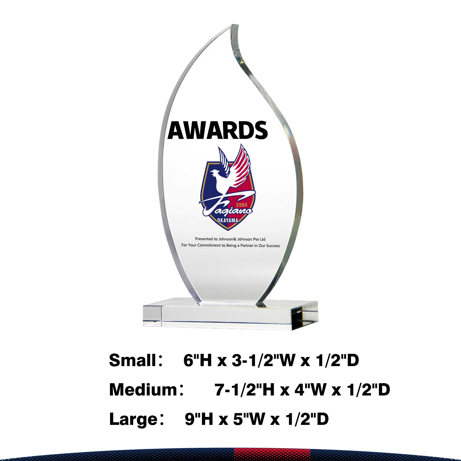 Leslie Crystal Flame Award 4