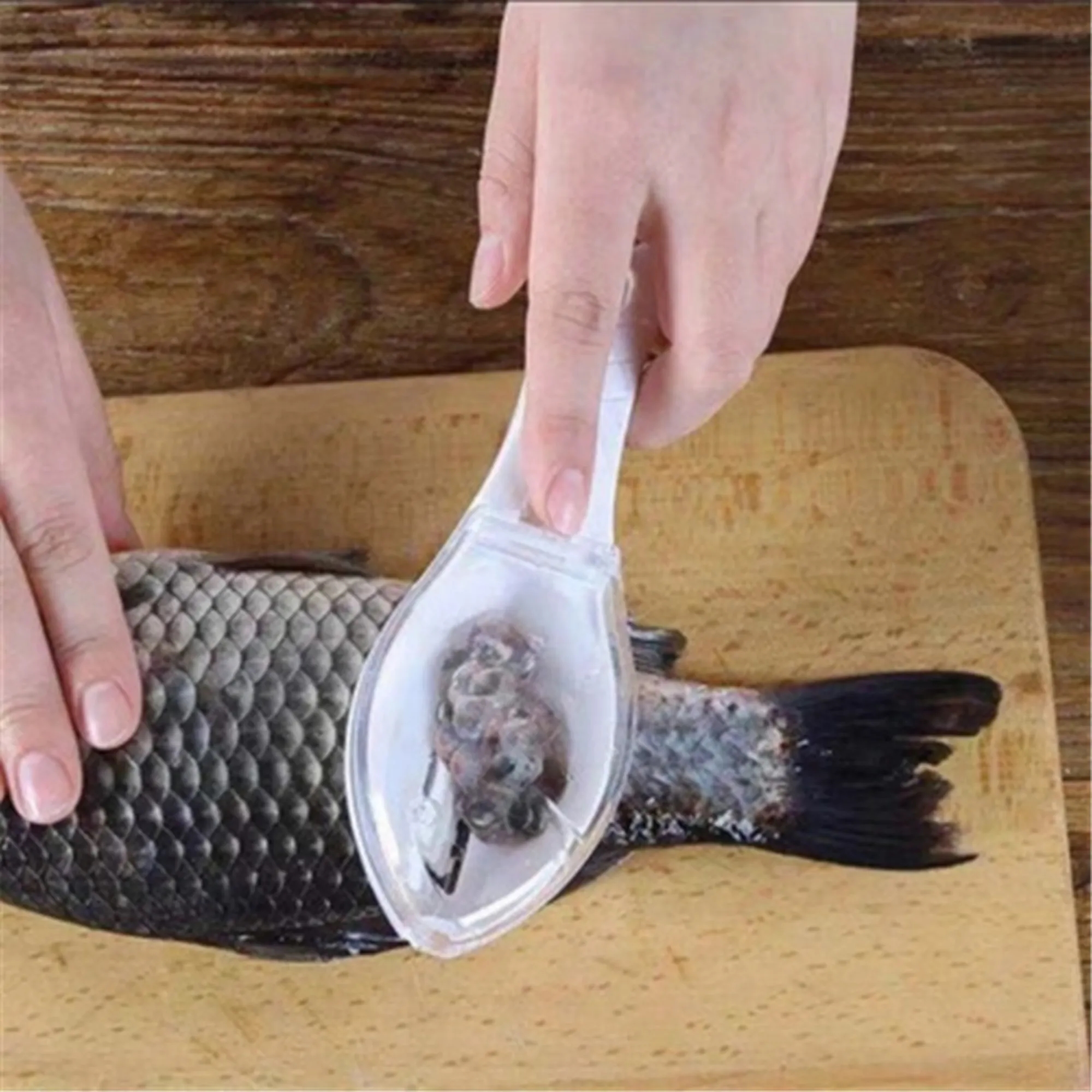 All-in-One Kitchen Tool: Fish Scaler, Grater and Peeler 5