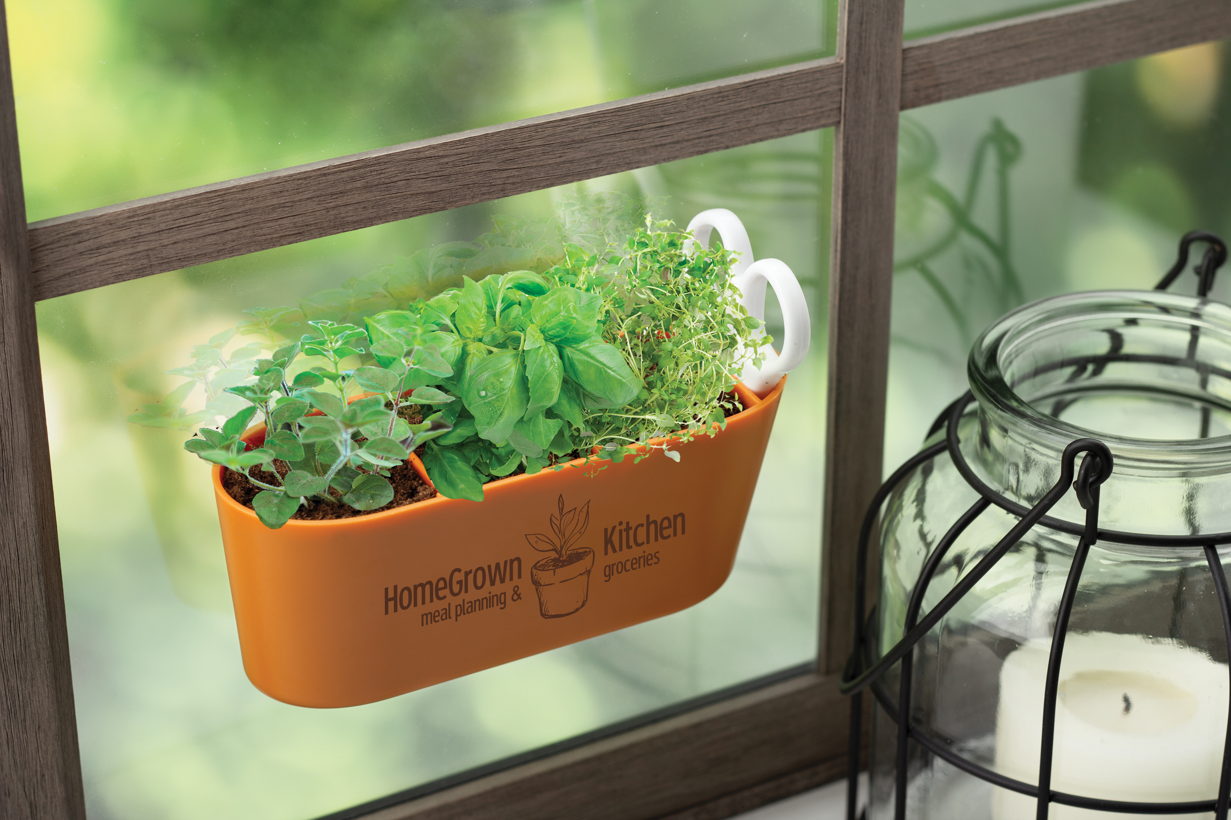 Wall Sprouts Indoor Garden Blossom Kit 22