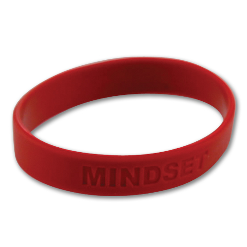Blank Wristbands 2