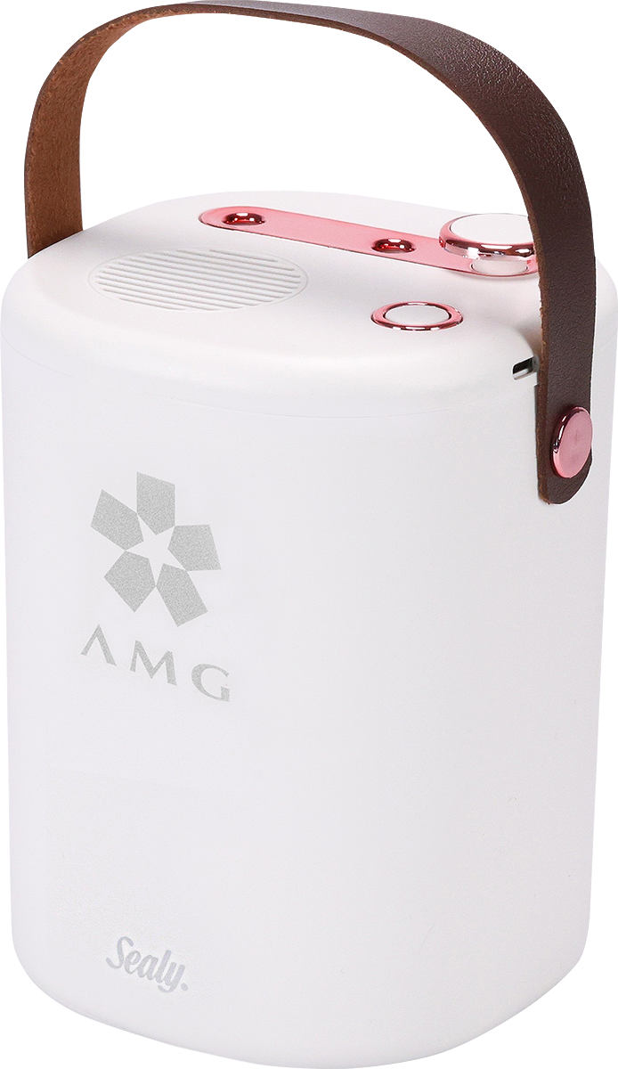 Sealy® Dual Humidifier 22