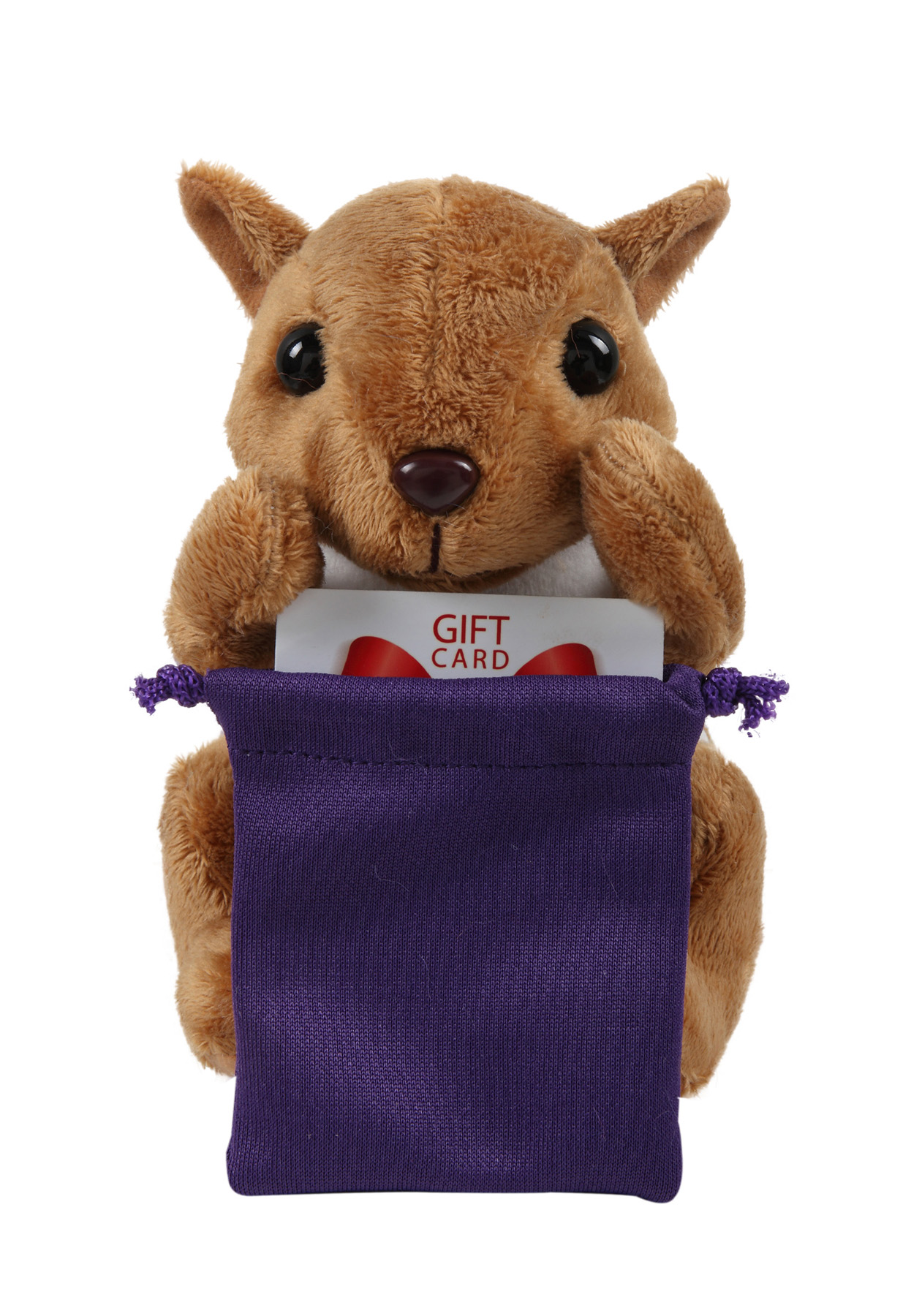 soft plush Squirrel with gift card sack