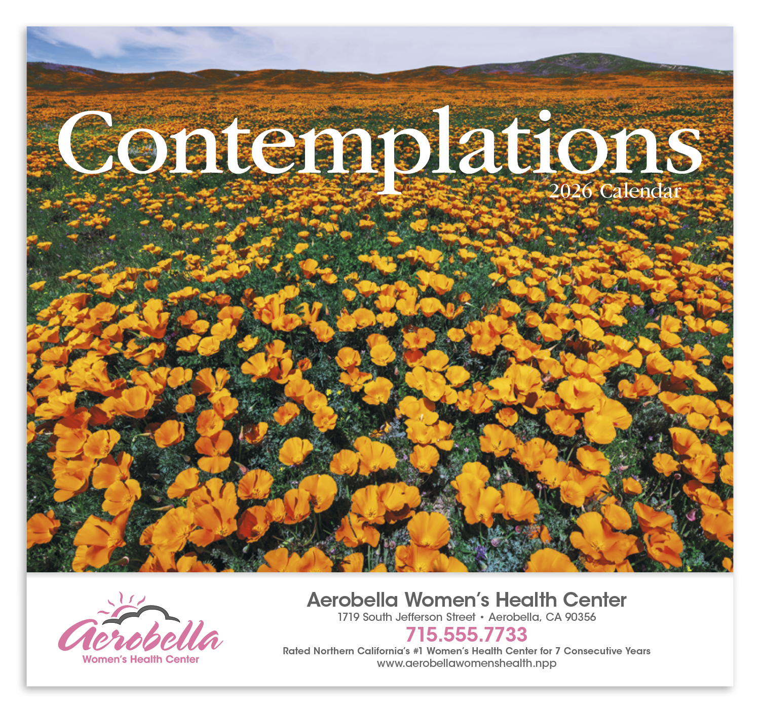 HotLine® Products Contemplations Appointment Calendar - Stapled 17