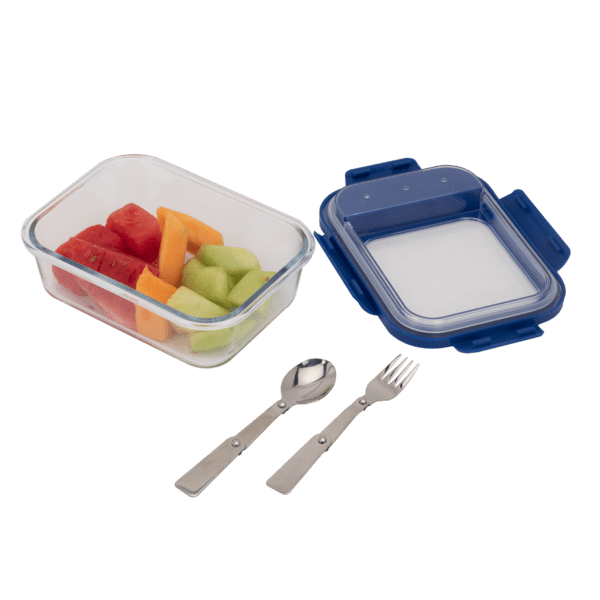 Glass Bento Box 4