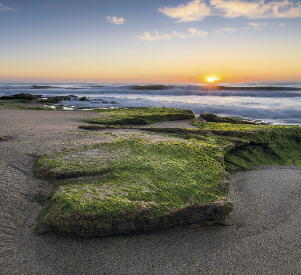 Good Value™ Landscapes of America - Mini Calendar 7