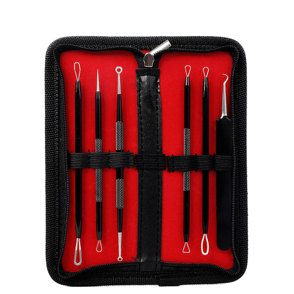 6 Pcs Acne Remover Needles Set