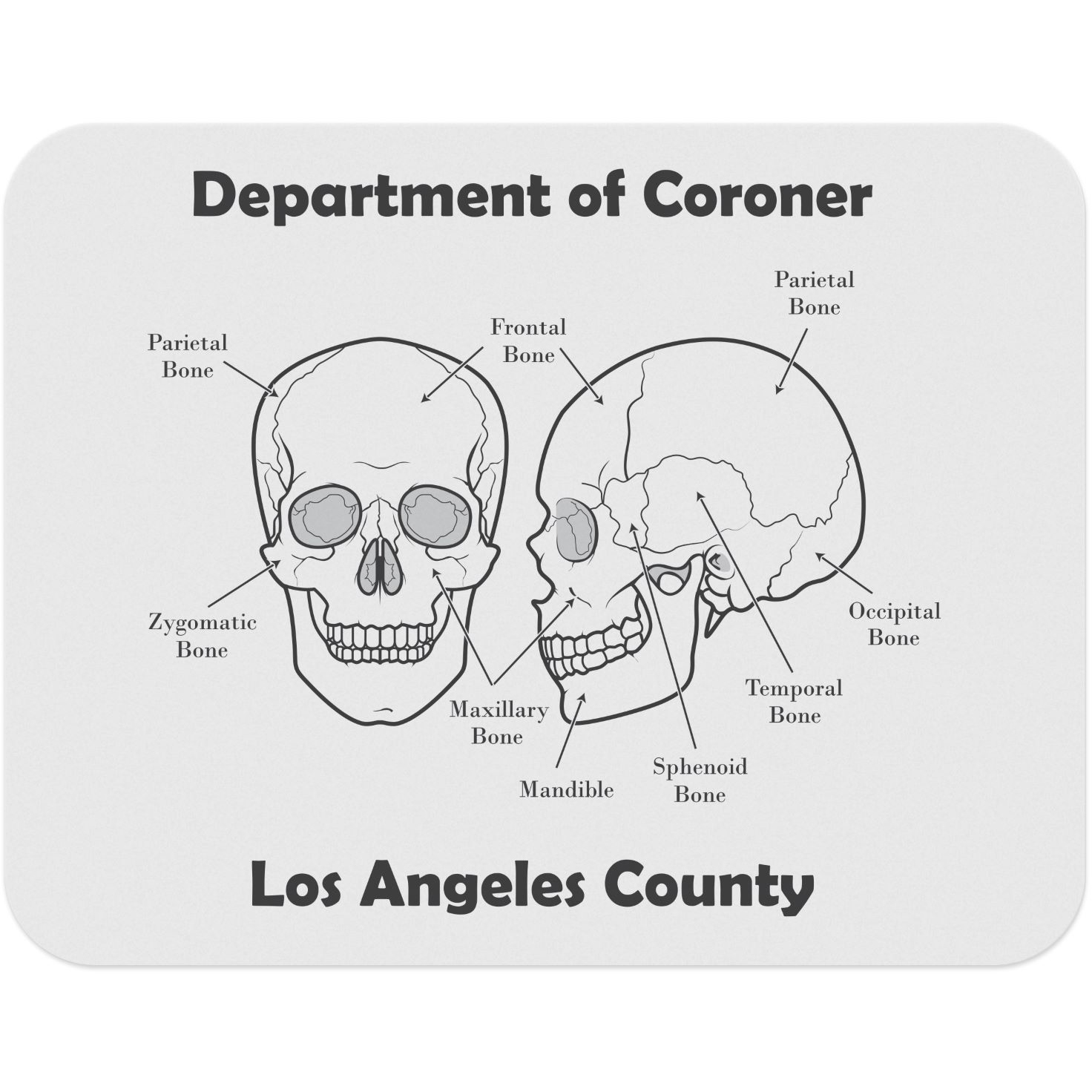 Flexible Cutting Board on FDA approved .030 clear plastic (11.5" x 14.75") Sub-Surface Spot colour