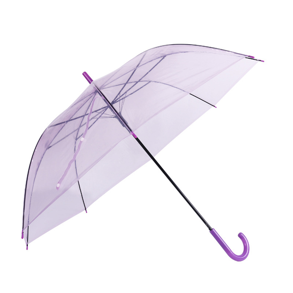 Small Fresh Transparent Umbrella 4