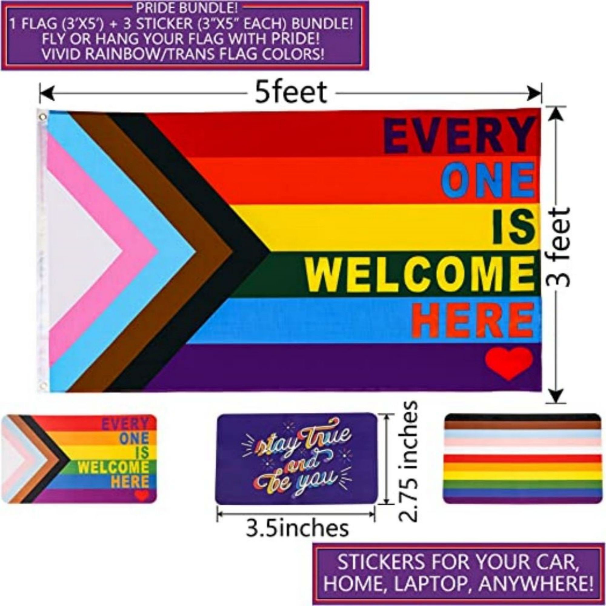 Progress LGBTQ+ Pride Flag 4