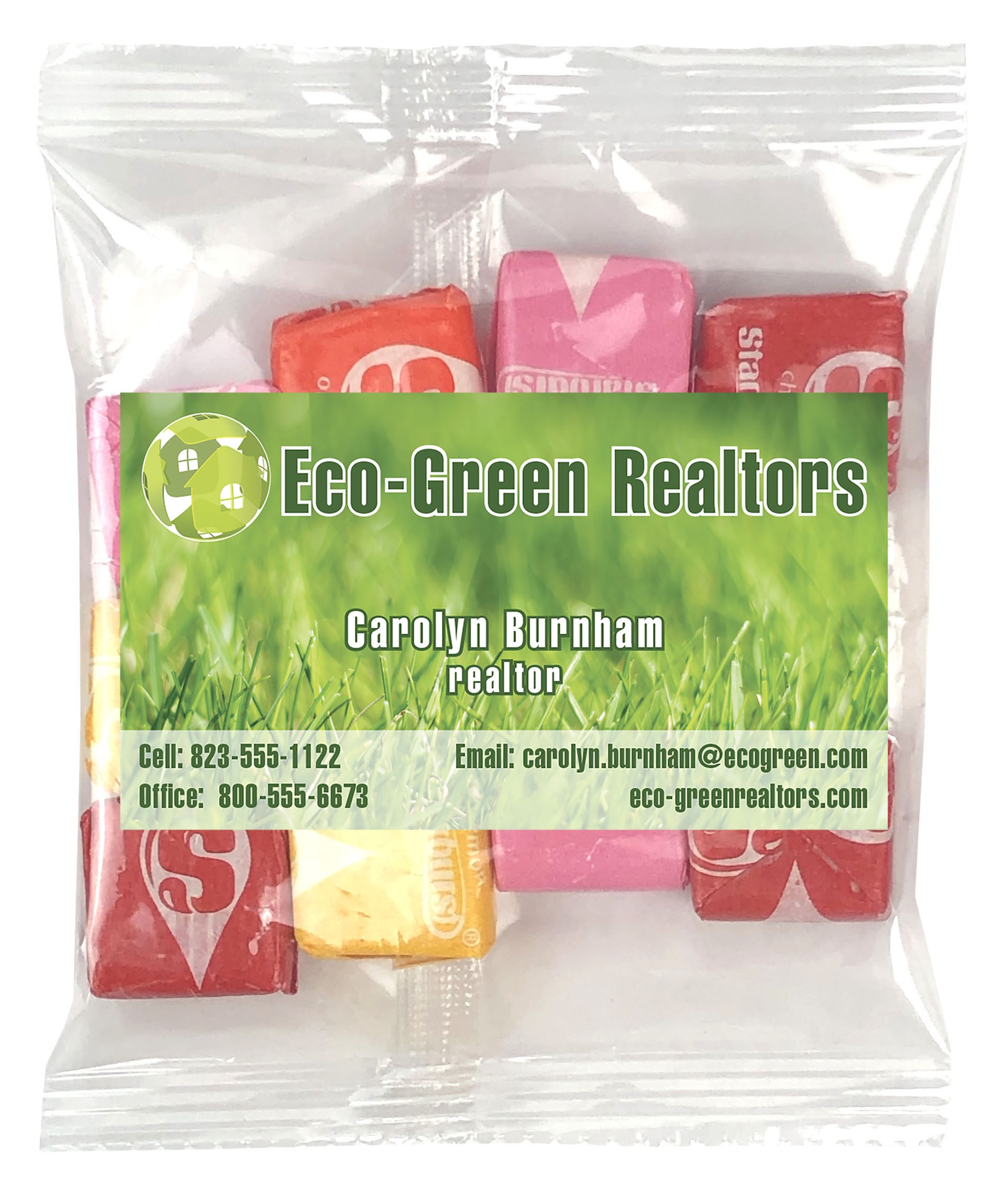 Small Snack Bag with Rectangle Magnet Standard Fill 9