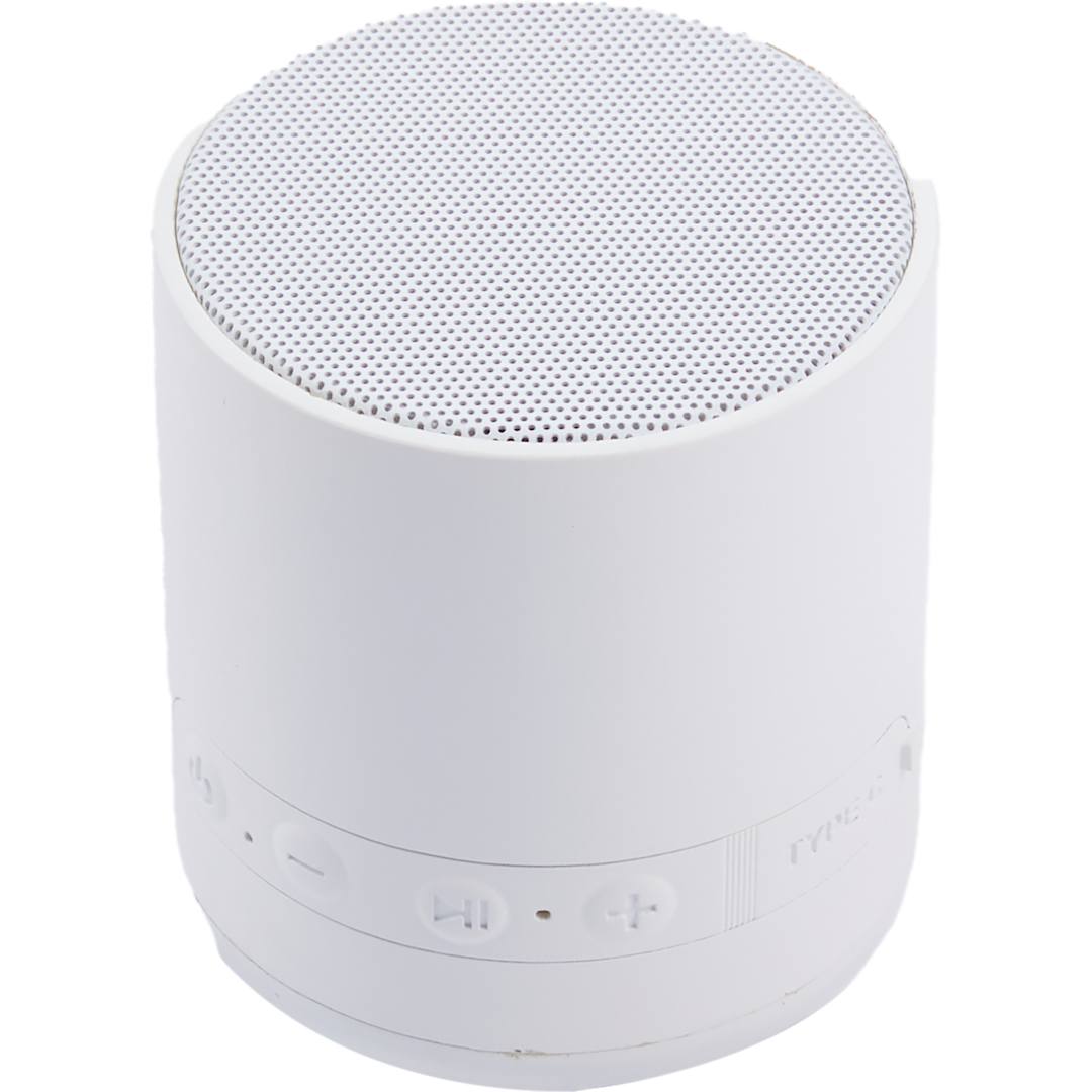 BuzzTurn Recycled Bluetooth Speaker 25