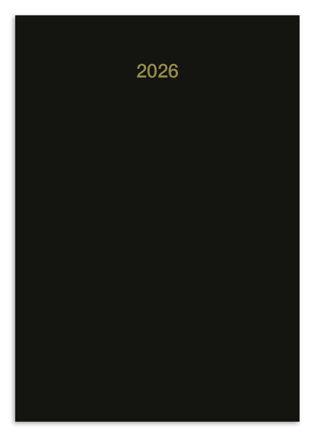 HotLine® Products Leatherette Planner 1