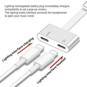 2 In 1 For Lightning Adapter 3