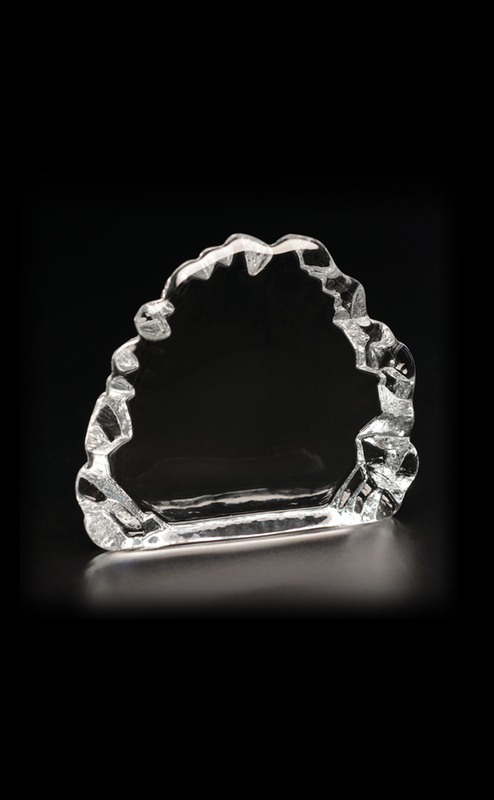 Small Iceburg Award 6