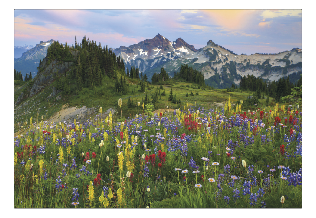 Triumph® Calendars American Splendor Pocket Calendar 4