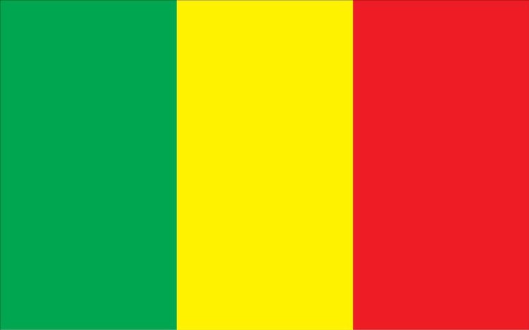 Mali Flag - 3' x 5' - Nylon 2