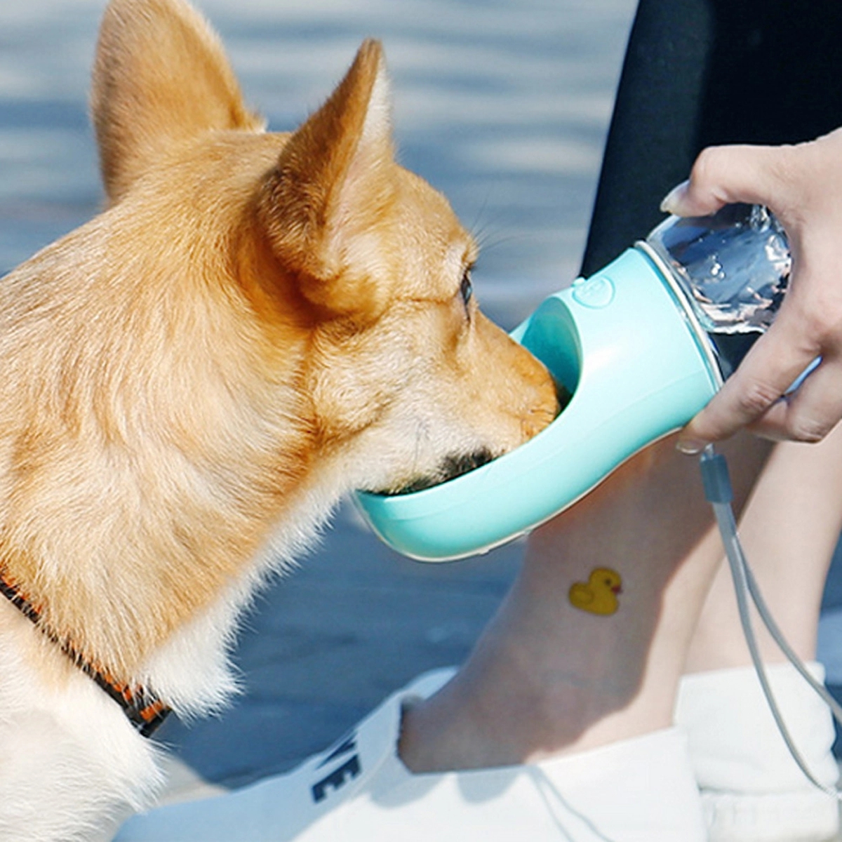 Pet Dog Water Bottle Feeder 4