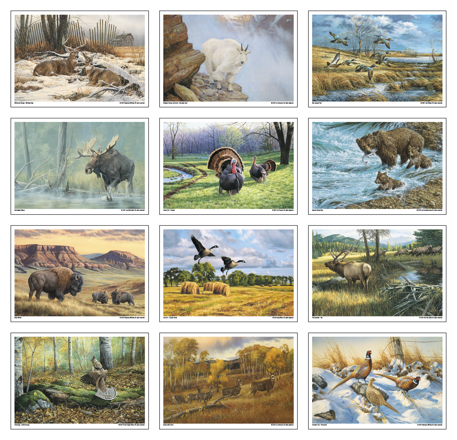 Triumph® Calendars Wildlife Art Calendar 48
