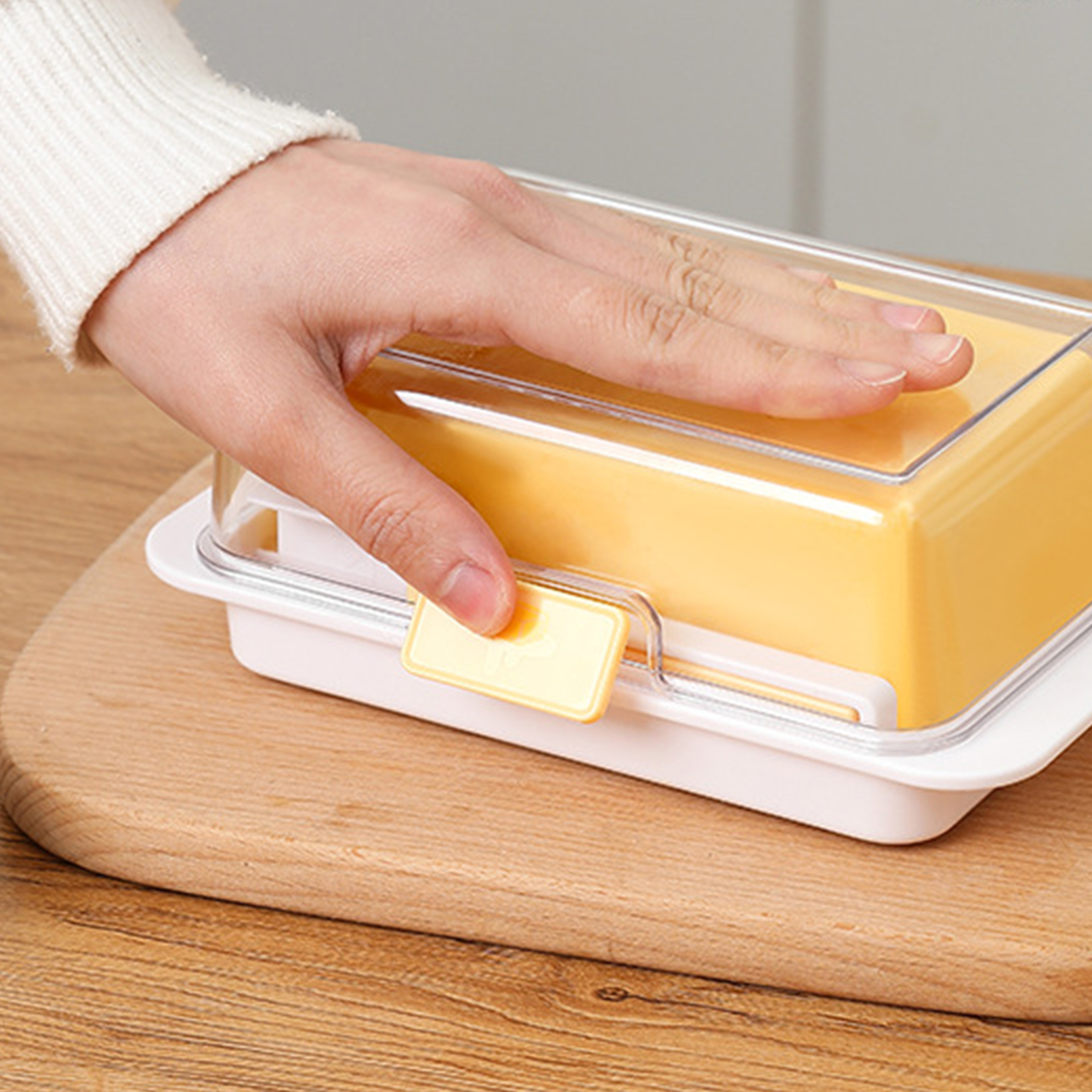 Abs Butter Storage And Preservation Box 7
