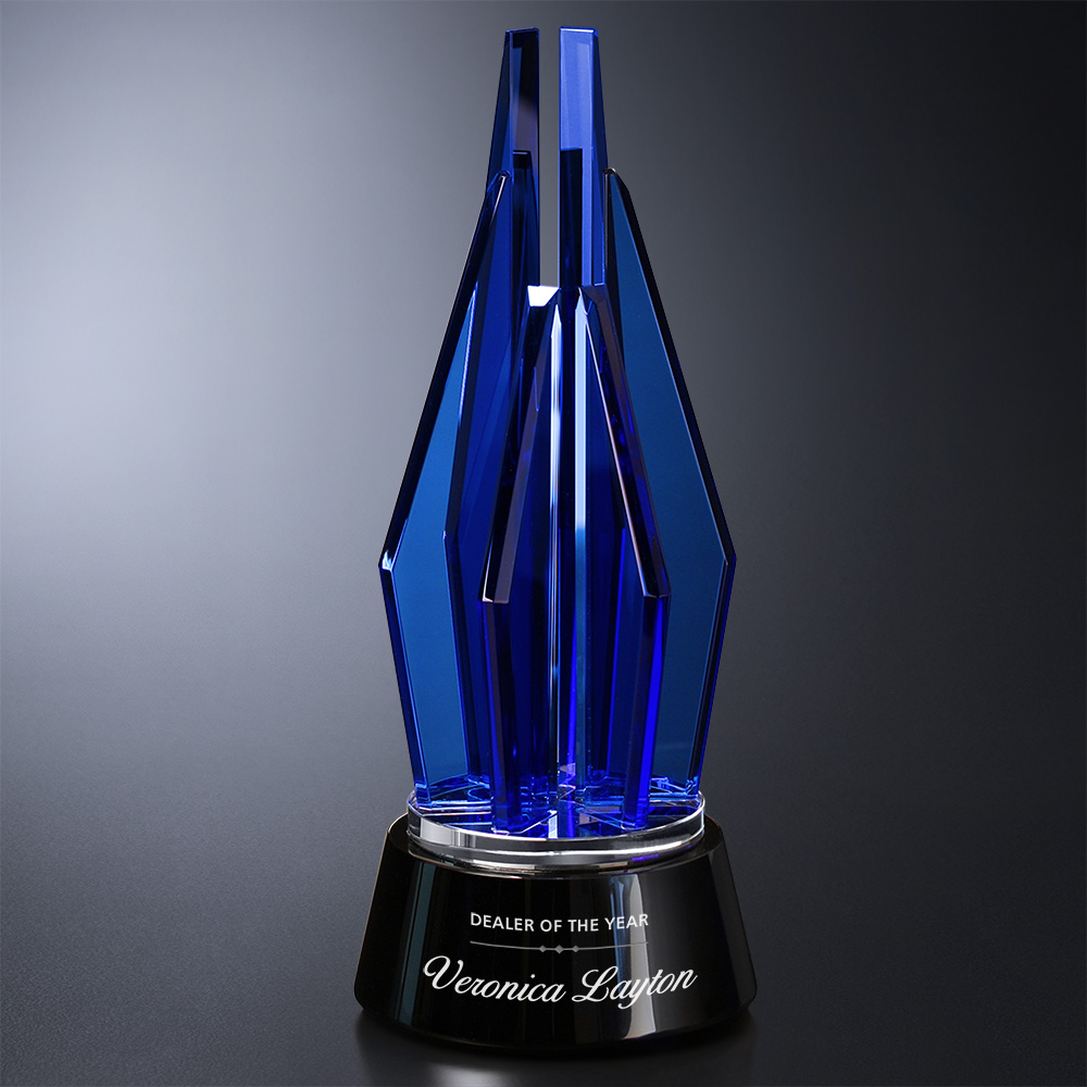 Vector Indigo Award 6