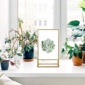 Gold Acrylic Picture Frames Clear Double Sided Menu 5