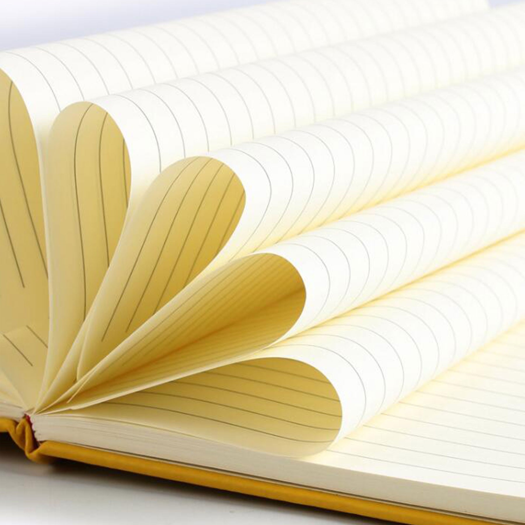 Pocket A6 Dotted Hardcover Notebook 2