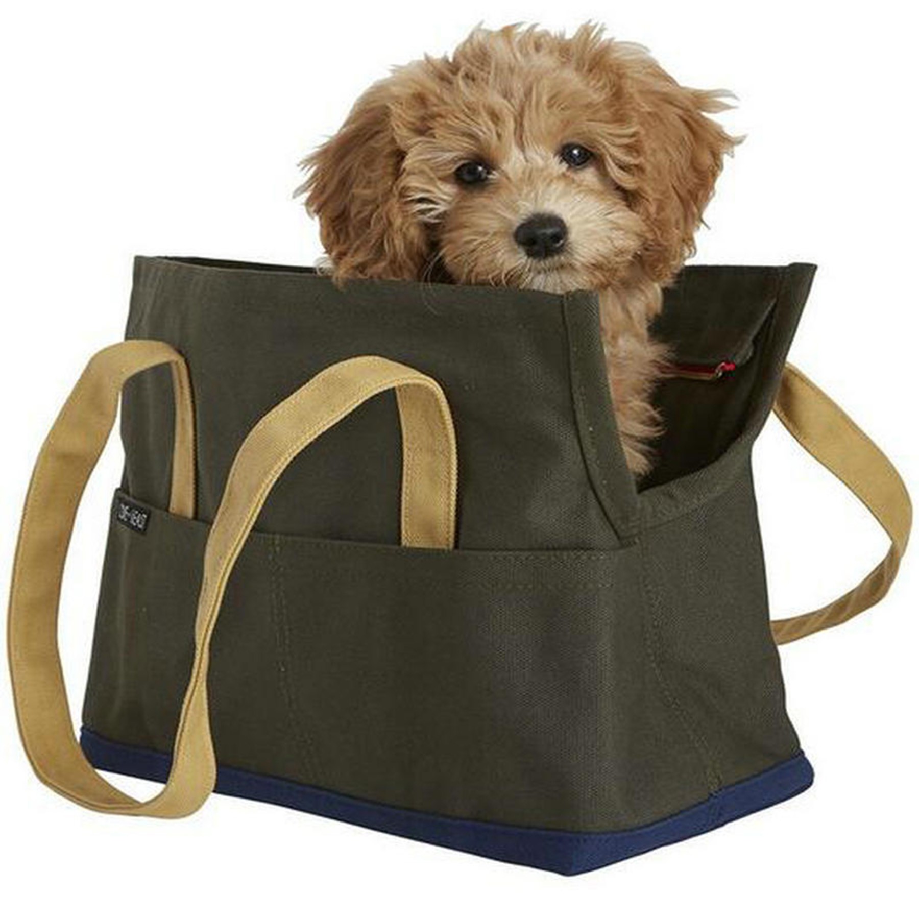 Tote Pet Carrier Bag 2