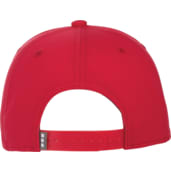 Unisex Zest Ballcap 10