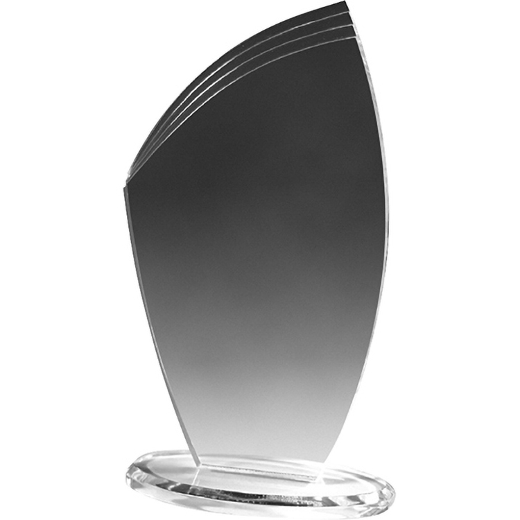 Clear Allure Acrylic Award (4 1/2"x 8"x 3/8") Screen-Printed 3