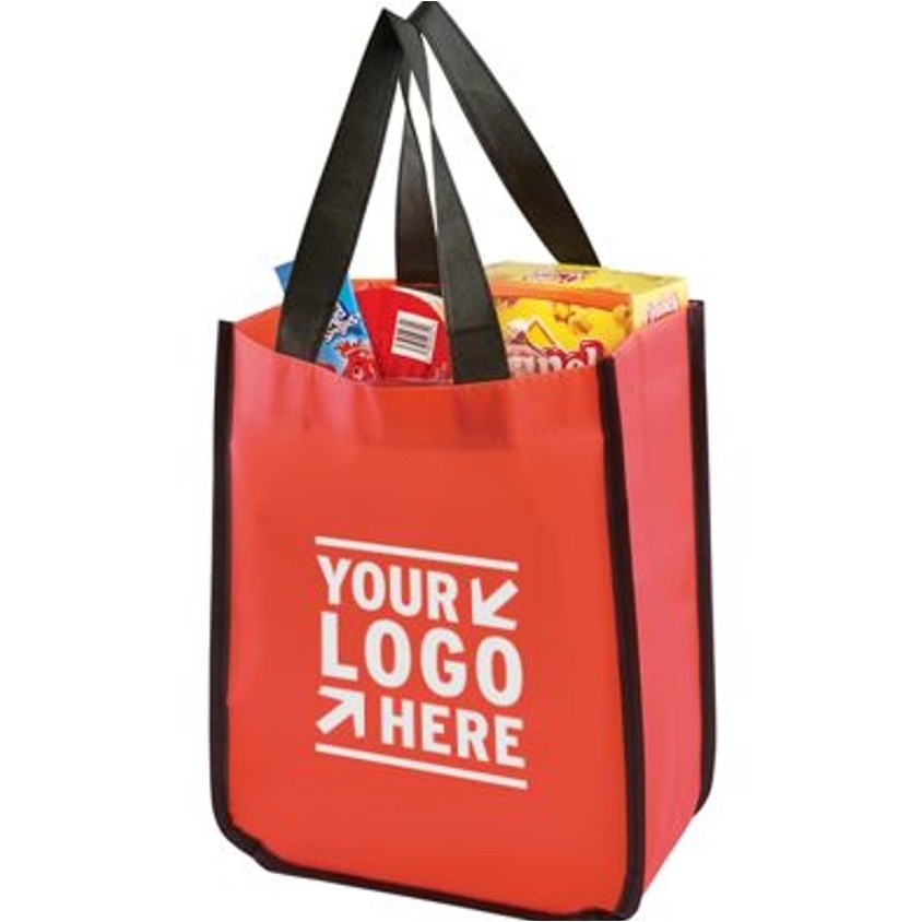 Small Laminated Shopper Tote Non-Woven Fabric 2