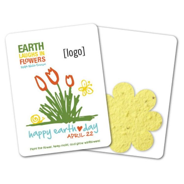 Mini-Gift Pack