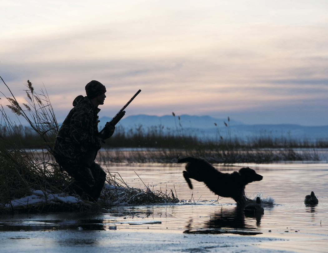 Good Value™ Sporting Dogs - Stapled Calendar 3