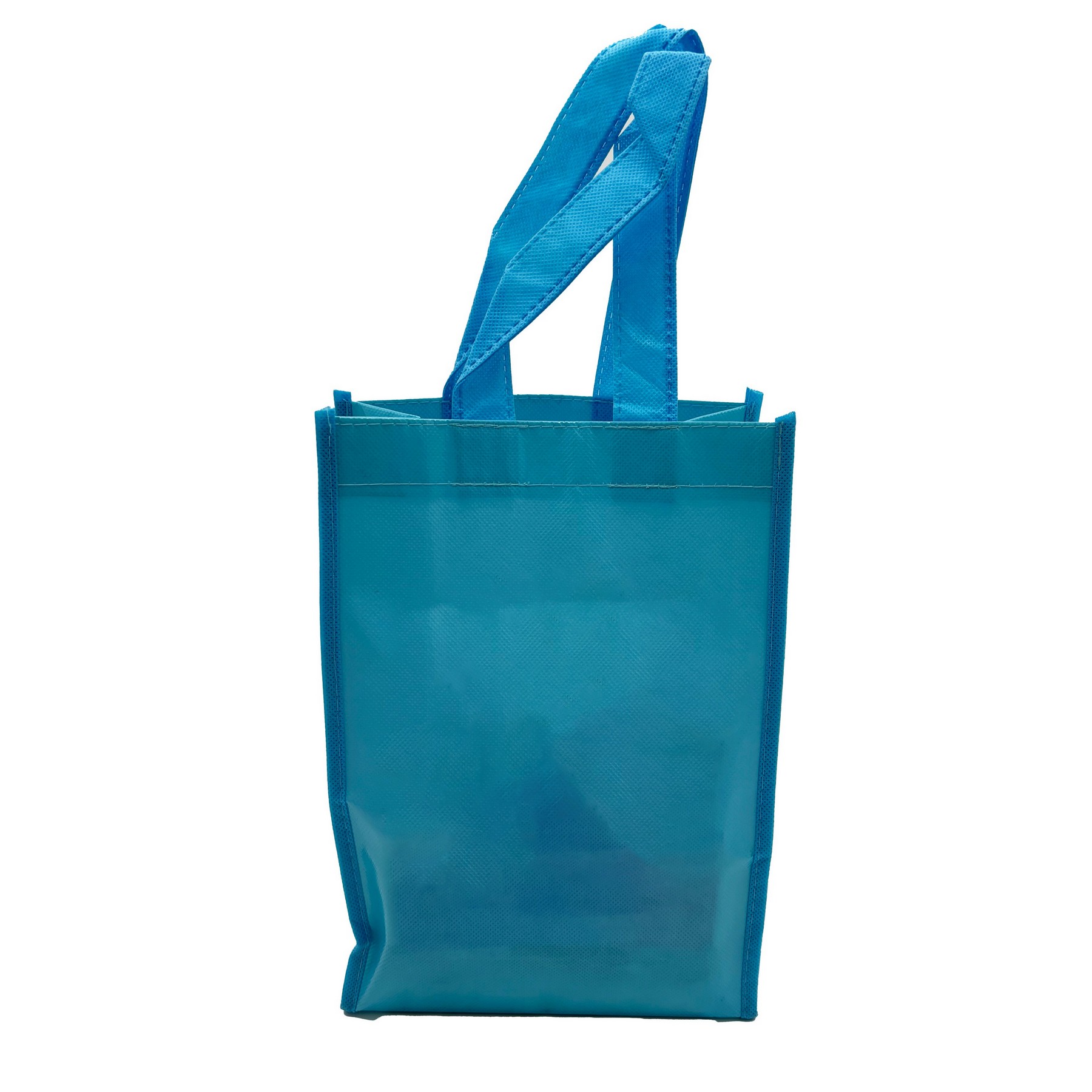 Laminated Non-woven Bag 4