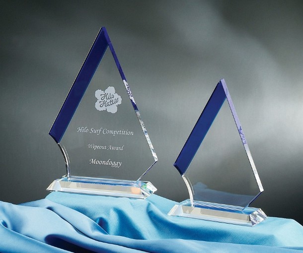 Contemporary Vistas Crystal Marmont Award 2