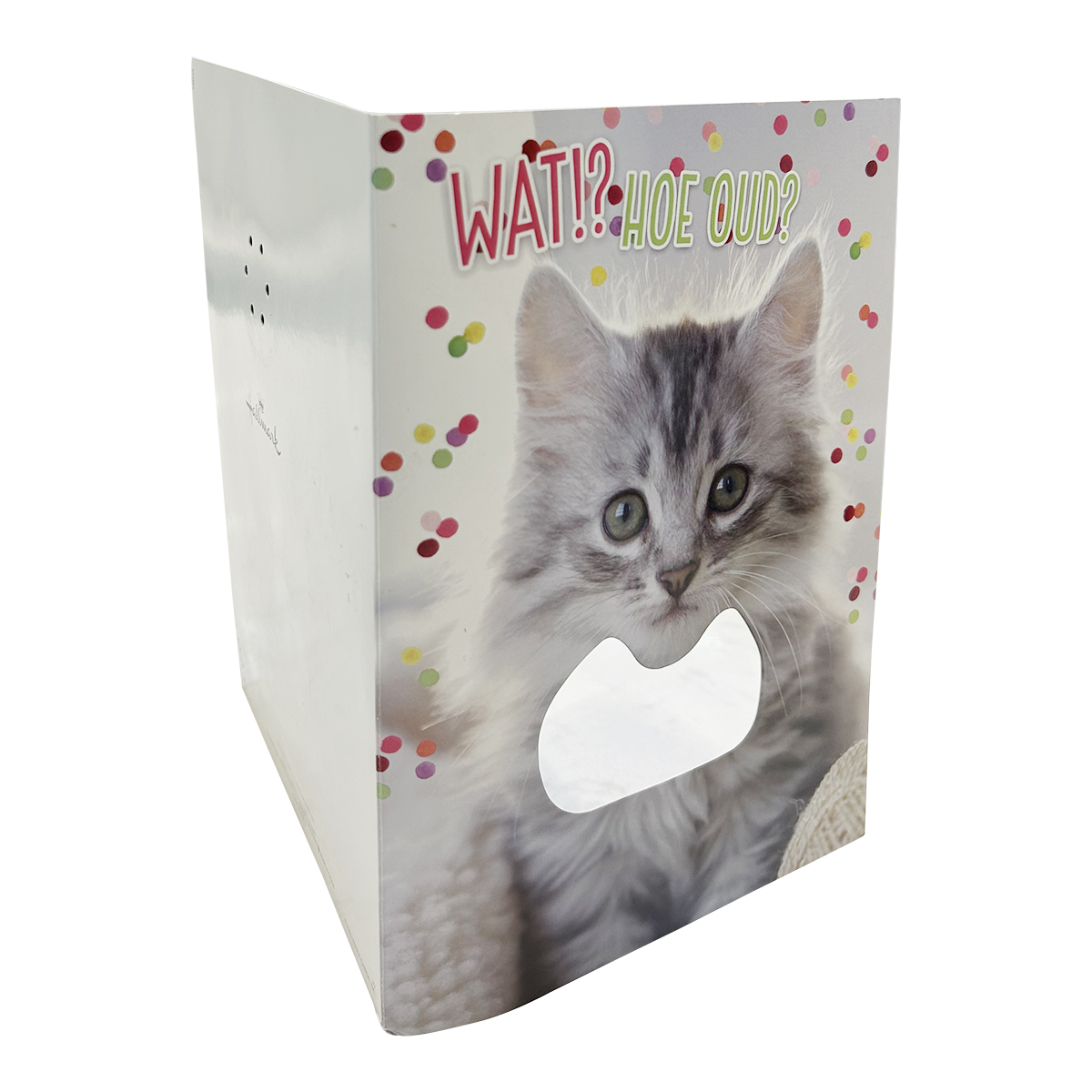 AudioPop Touch Activation Custom Interactive Audio Greeting Card & Direct Mailer - Full Color 3