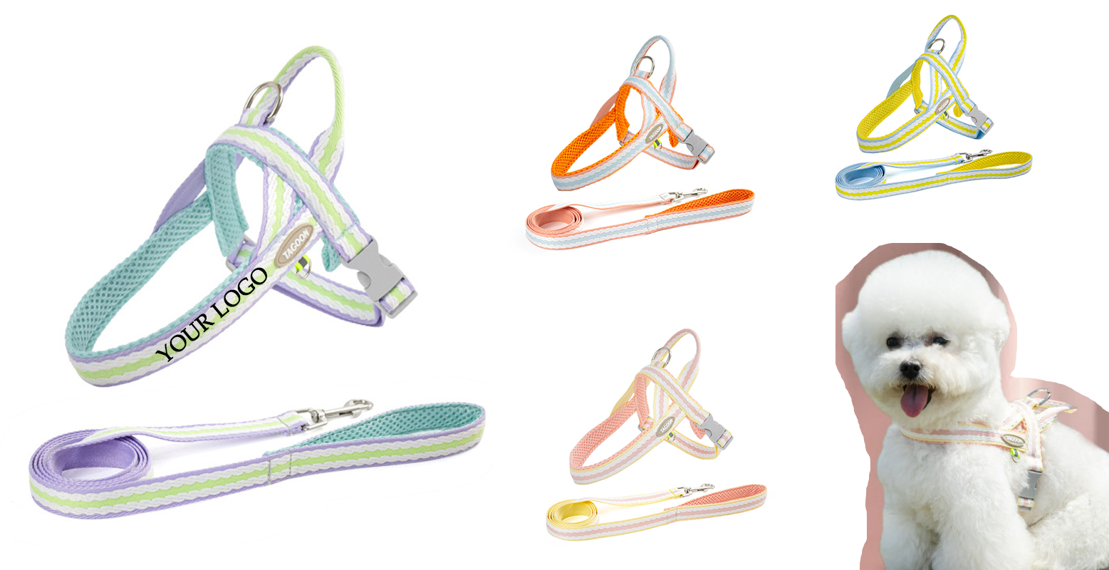 Small Dog Harness and Leash Set 2