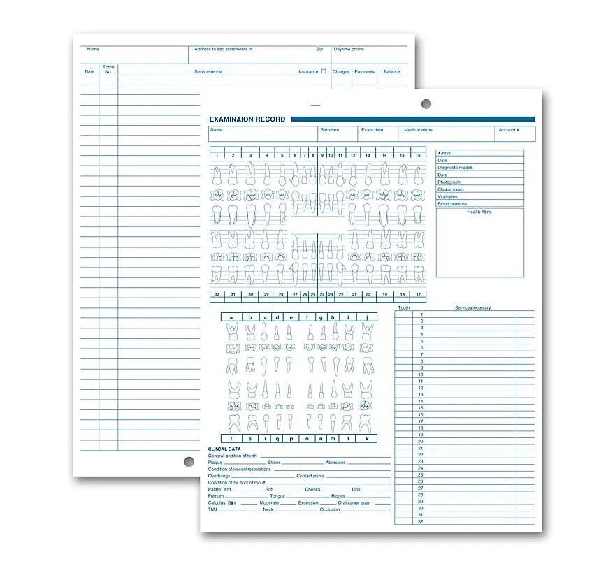 Dental Exam Records, Anatomic & Periodontic Diagrams, Vert. 1