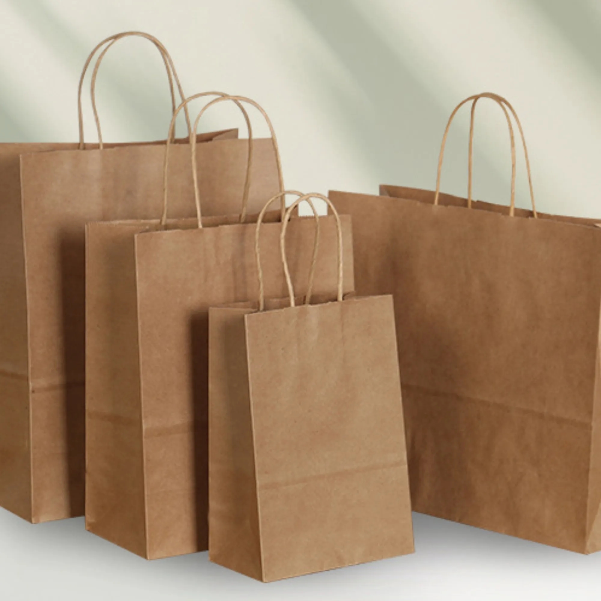 Kraft Paper Shopping Bags, Eco - Friendly, Retail Promo 3