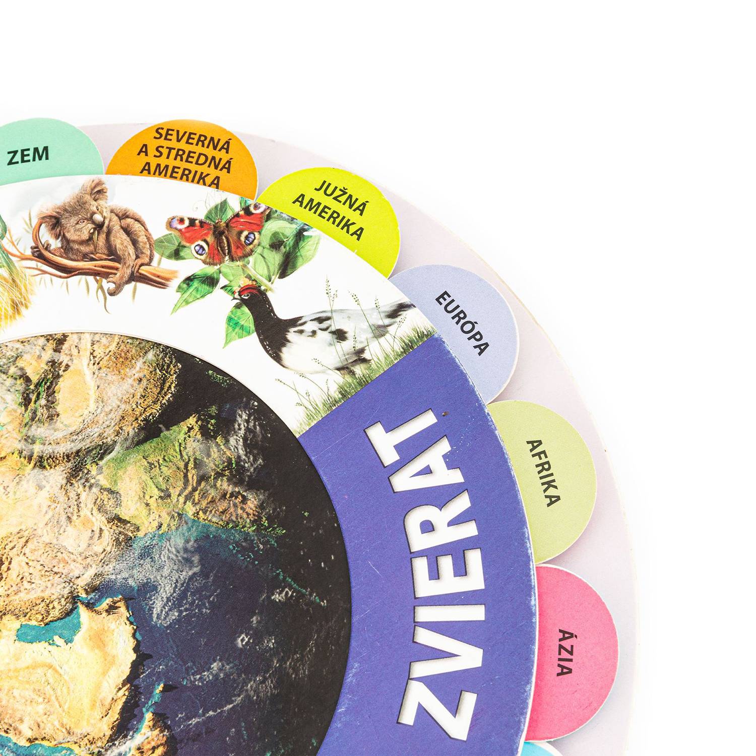 Colorful Die-Cut Indexed Board Book 5