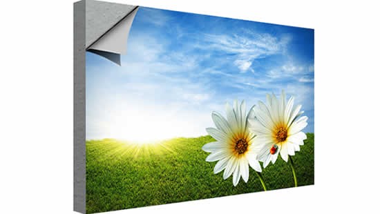 Wall Mural, Adhesive Vinyl, Custom Shape - 72"W x 48"H 1