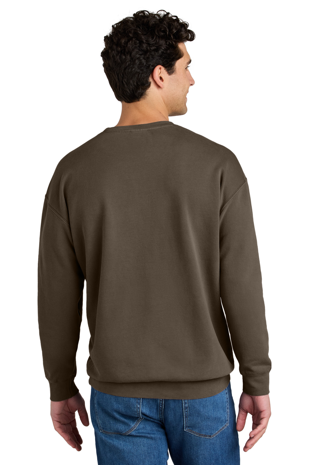 Comfort Colors Lightweight Crewneck Sweatshirt 1466 65