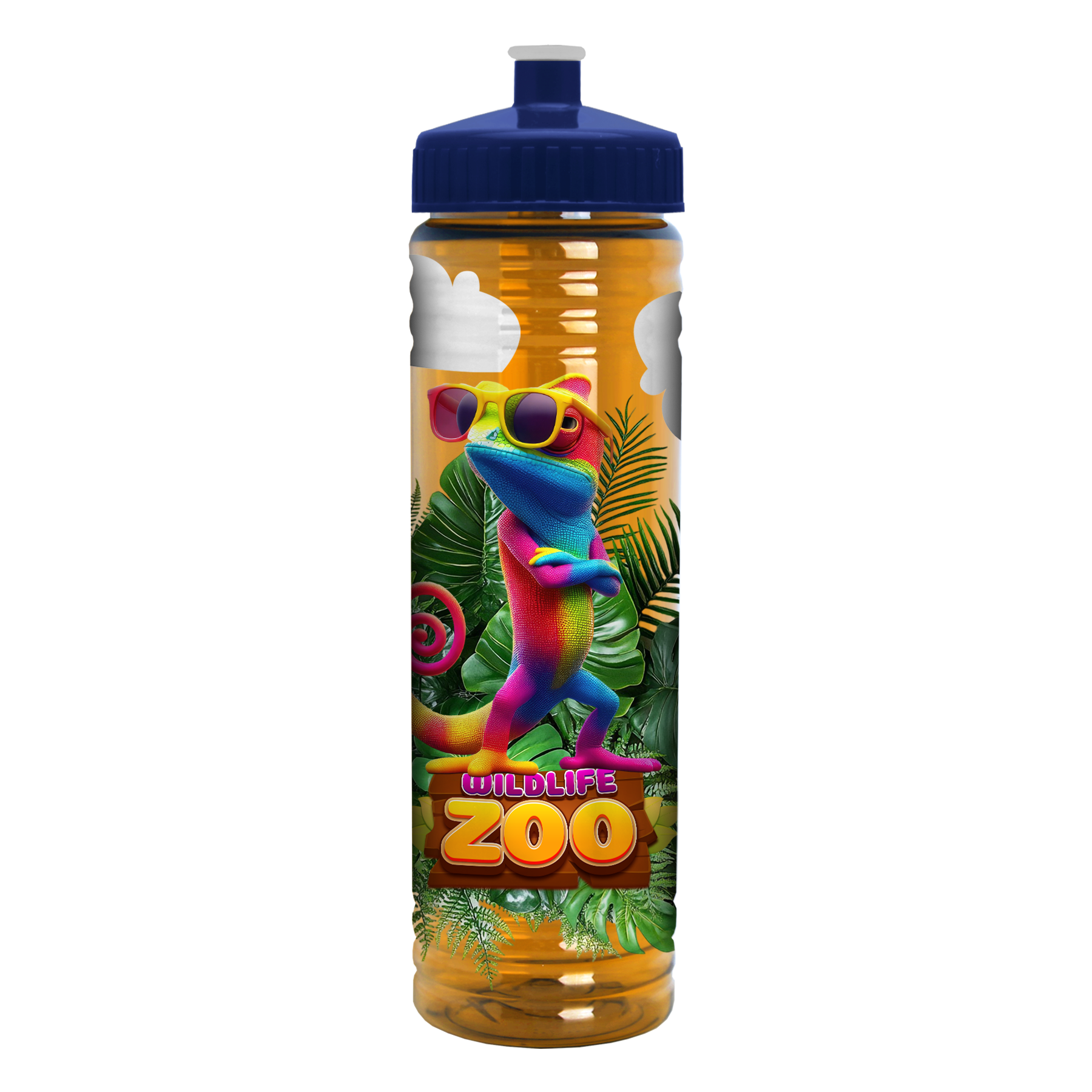 Garyline® Slim Fit Bottle with Push-Pull Lid - 24 oz. 459