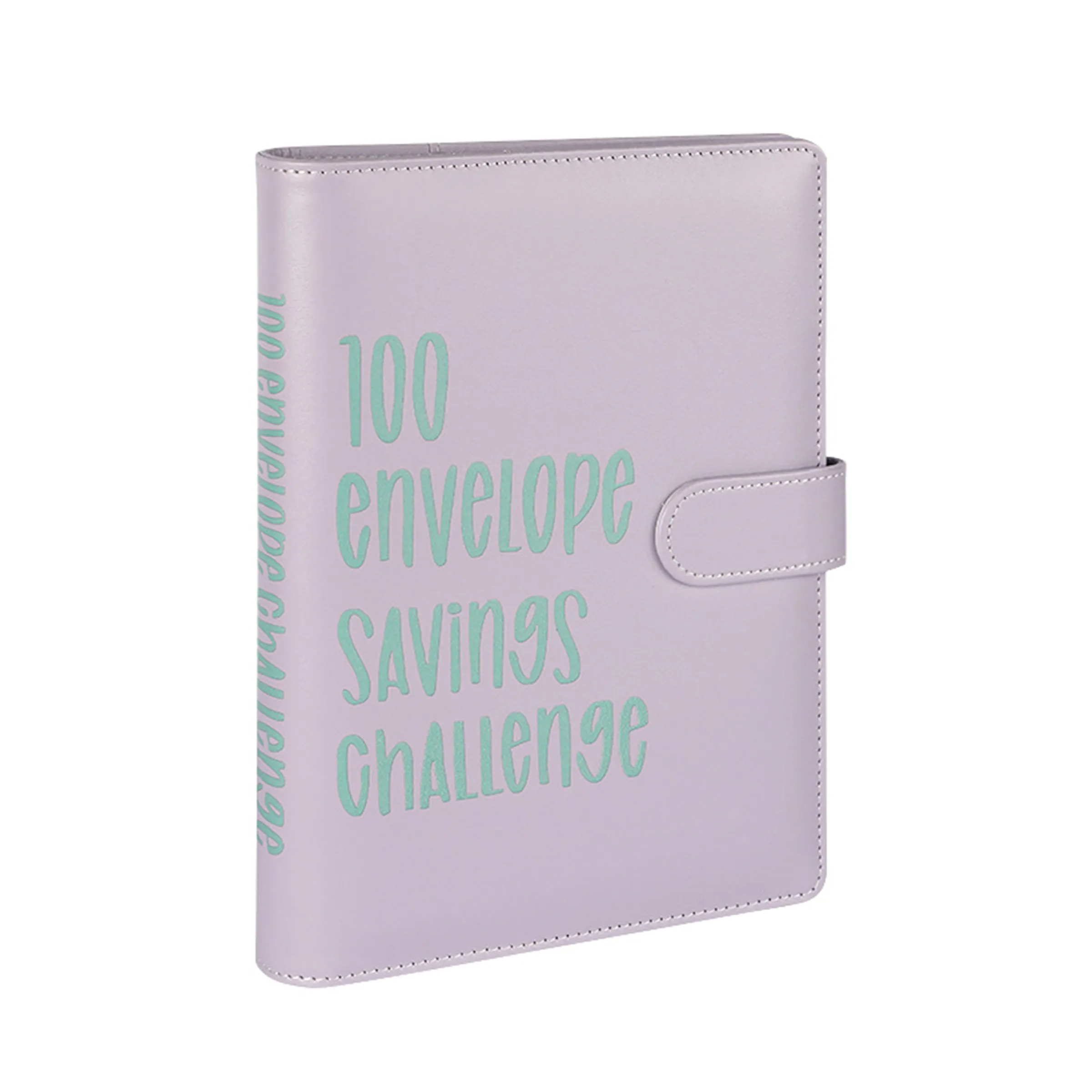 100 Envelope Challenge Binder 6