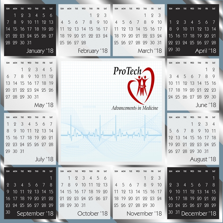 Chrome Mylar Year-at-a-Glance Wall Calendar 1