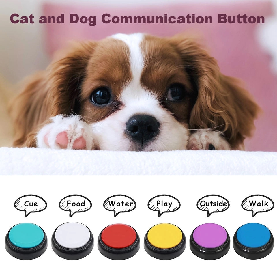 Easy Talking Button 5